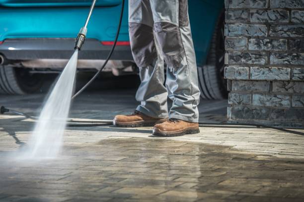 Best Driveway Pressure Washing  in Maquoketa, IA