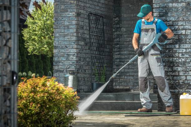 Best Fence Cleaning  in Maquoketa, IA